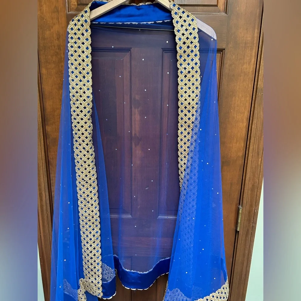 Royal Blue Net Dupatta with Gold Lace Border - Picture 9 of 10